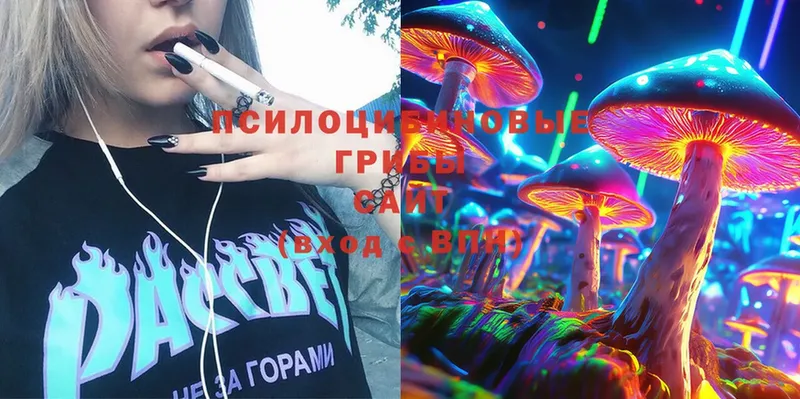 Псилоцибиновые грибы MAGIC MUSHROOMS  hydra ссылка  Бузулук  где найти наркотики 